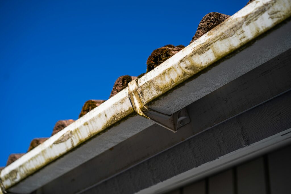 Gutter Cleaning