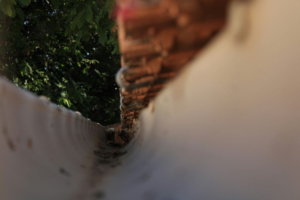 Downspouts & Drainage
