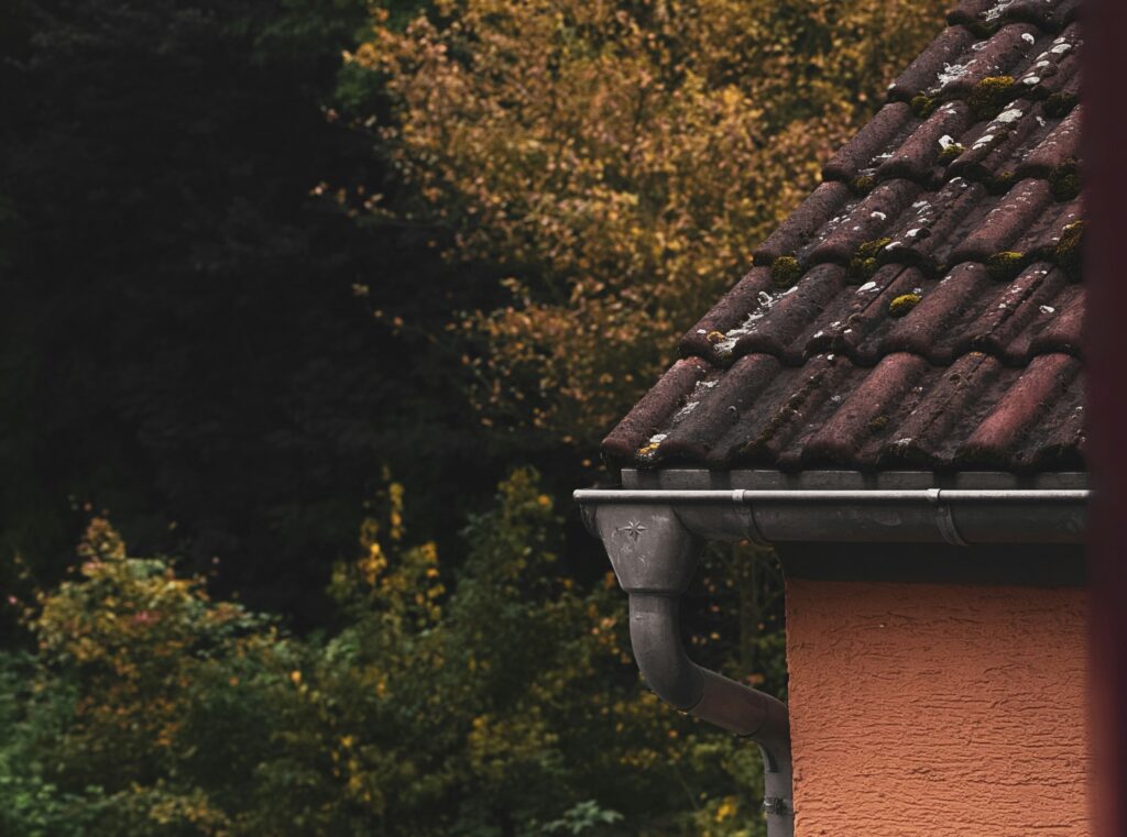 Arthur The King Gutters project